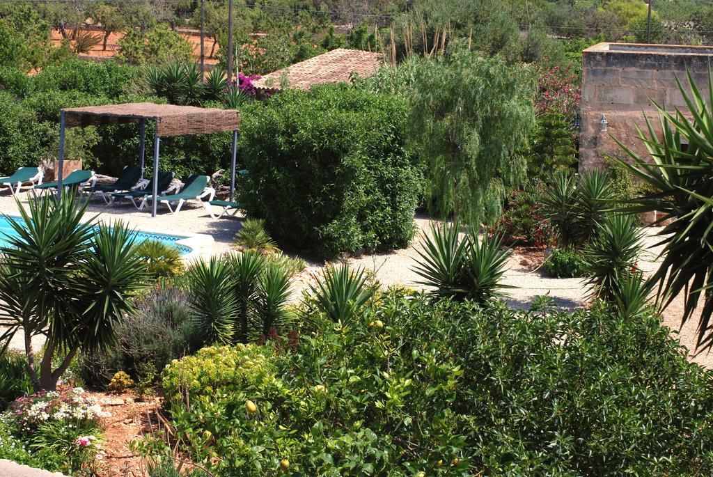 Finca Can Paulino (Adults Only) Llucmajor  Room photo